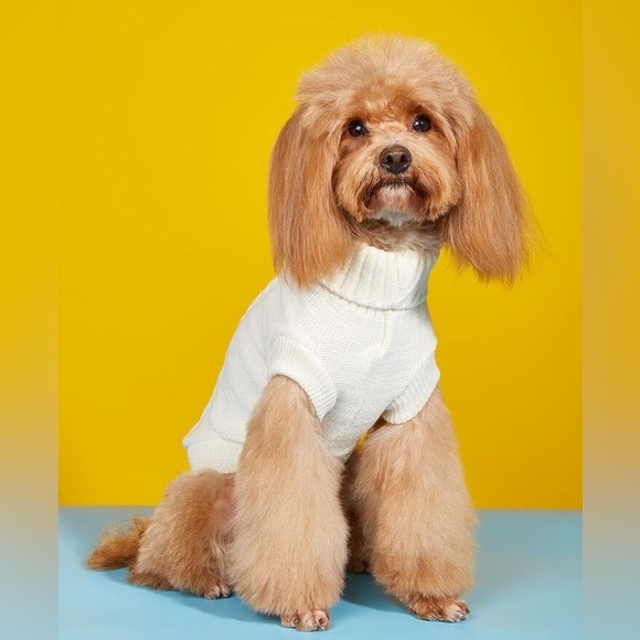 SHEIN Puppy / Dog Sweaters - Picture 1 of 7